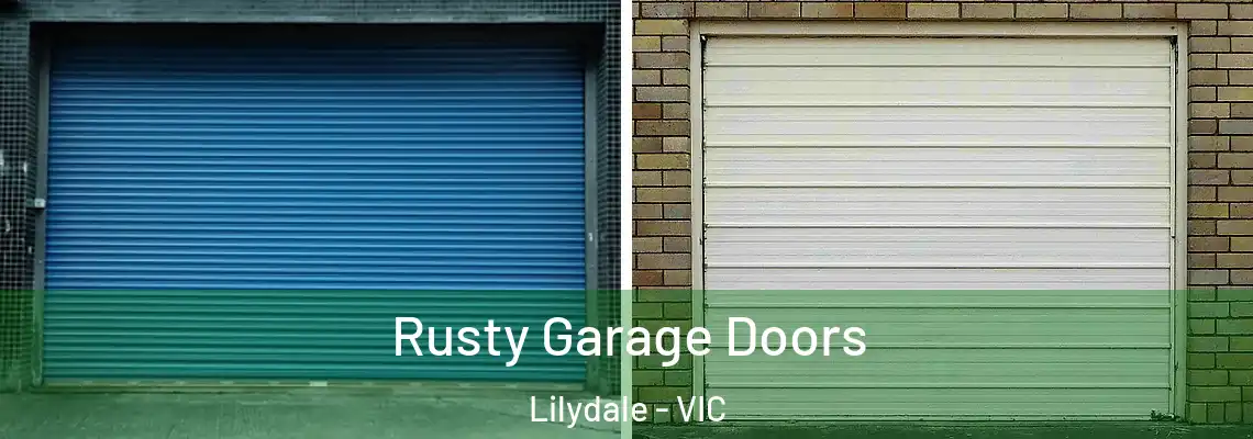 Rusty Garage Doors Lilydale - VIC